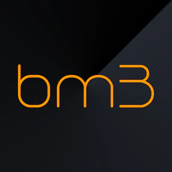Picture of B58 Bm3 License